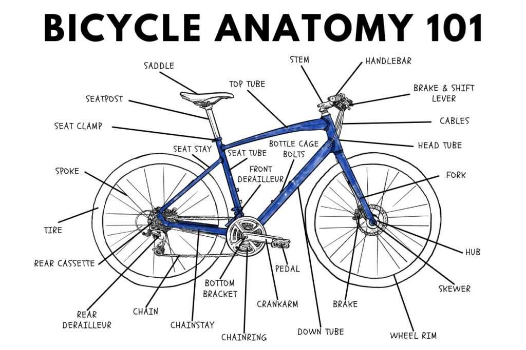 spin bike parts diagram