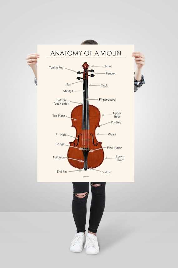 violin parts diagram