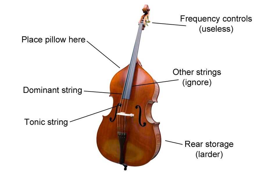 parts of the cello diagram