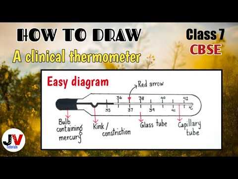 parts of thermometer with diagram