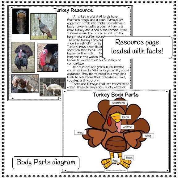 turkey body parts diagram