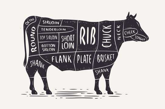 parts of cow diagram