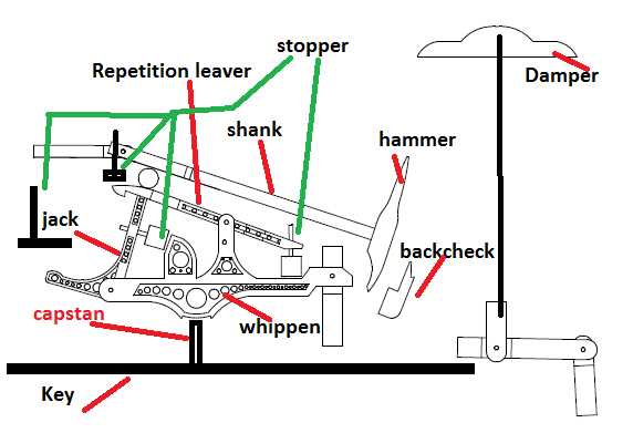 upright piano action parts diagram