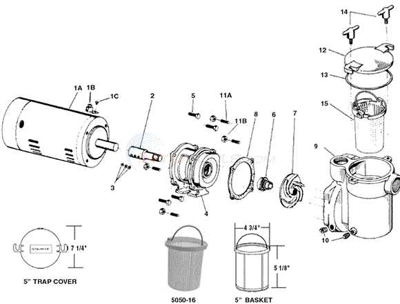 sta rite pool pump parts diagram