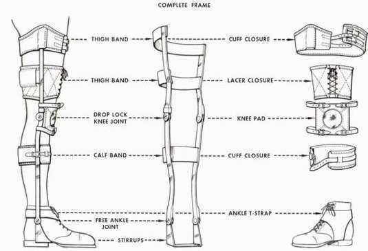 parts of leg diagram