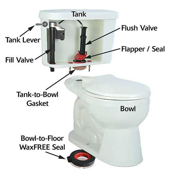 toilet plumbing parts diagram