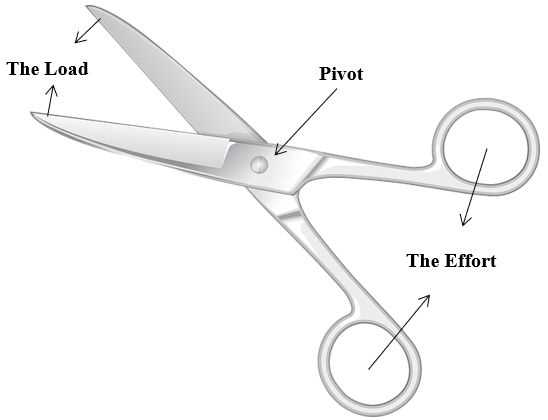 parts of the scissors diagram