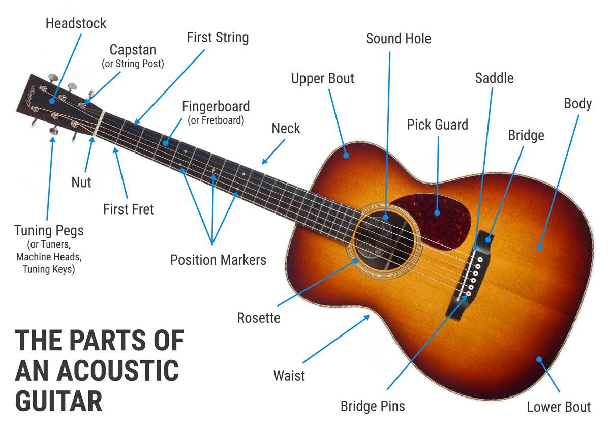 parts of the acoustic guitar diagram