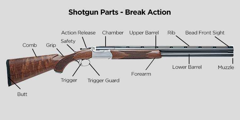 parts of a shotgun diagram