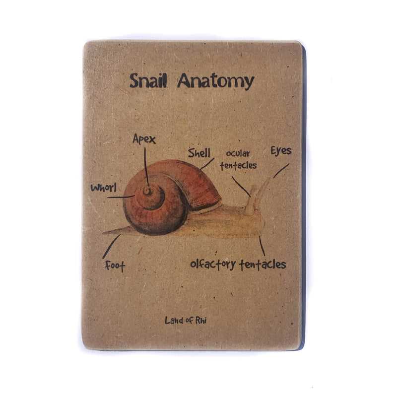 parts of a snail diagram