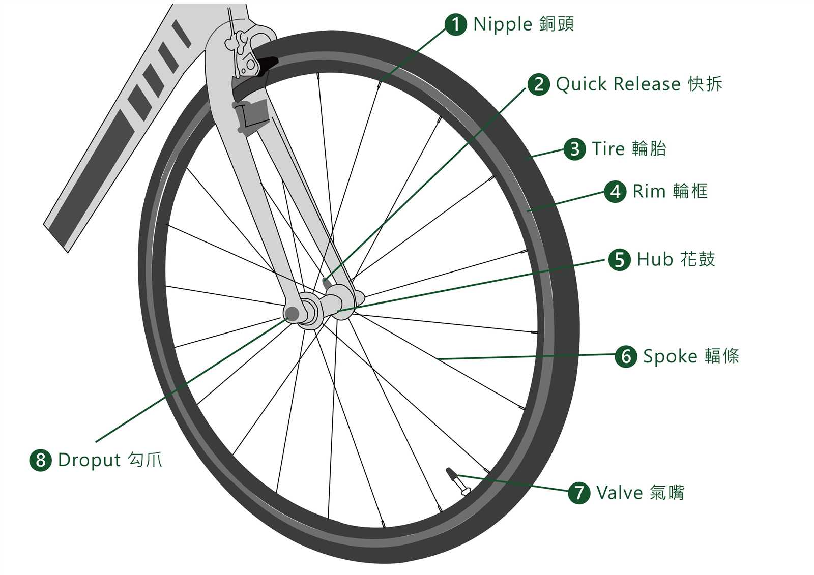 parts of a tire diagram