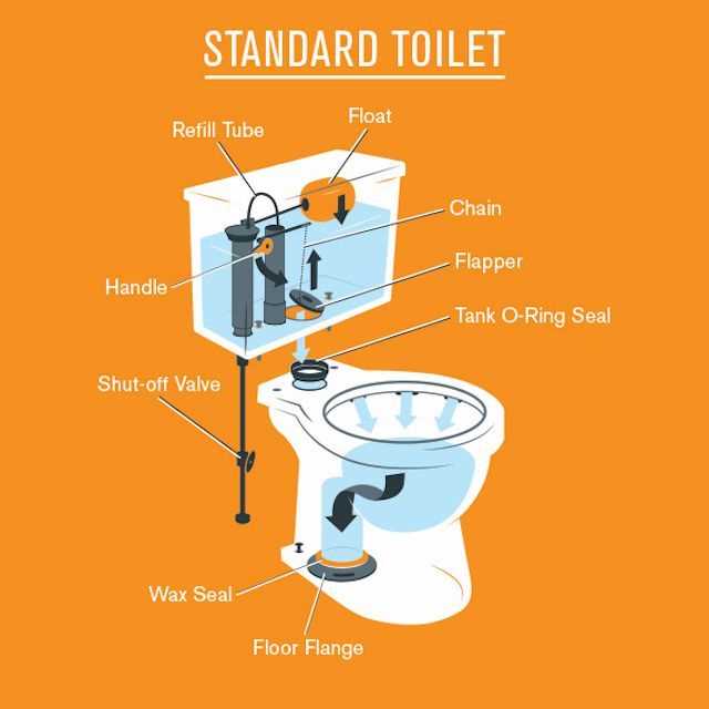 parts of a toilet bowl diagram