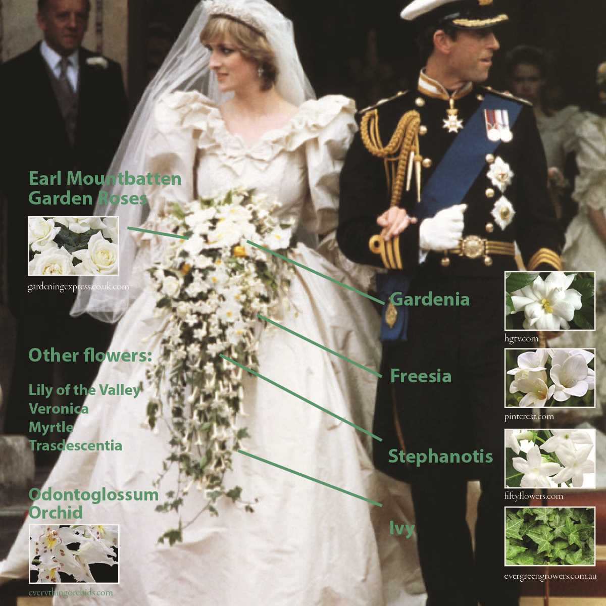 parts of a wedding dress diagram