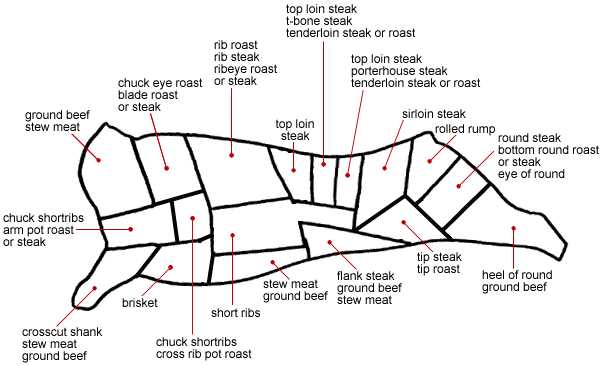 parts of beef diagram