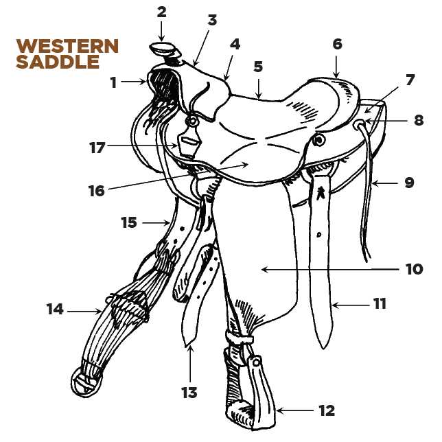 parts of english saddle diagram