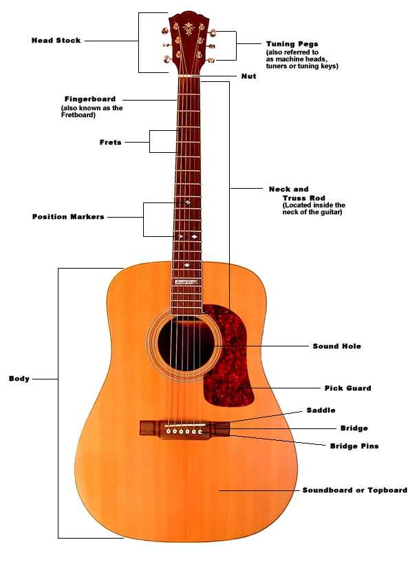 parts of guitar diagram