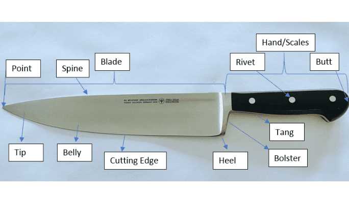 parts of knife diagram