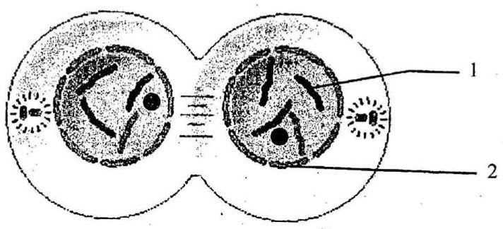 parts of stage diagram