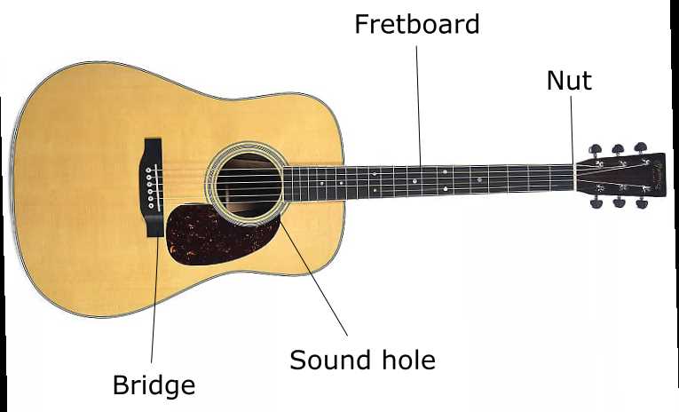 parts of the acoustic guitar diagram