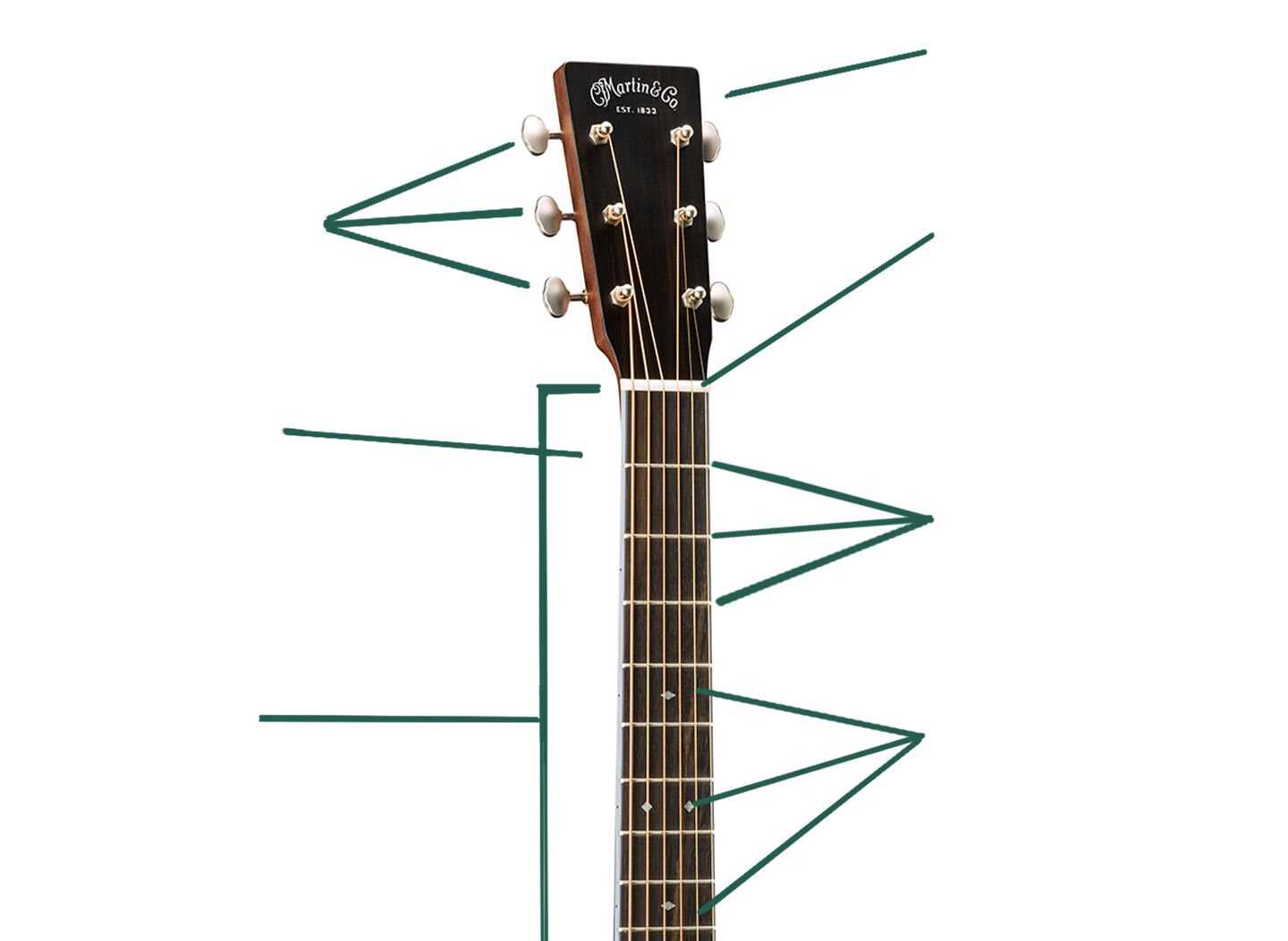 parts of the acoustic guitar diagram