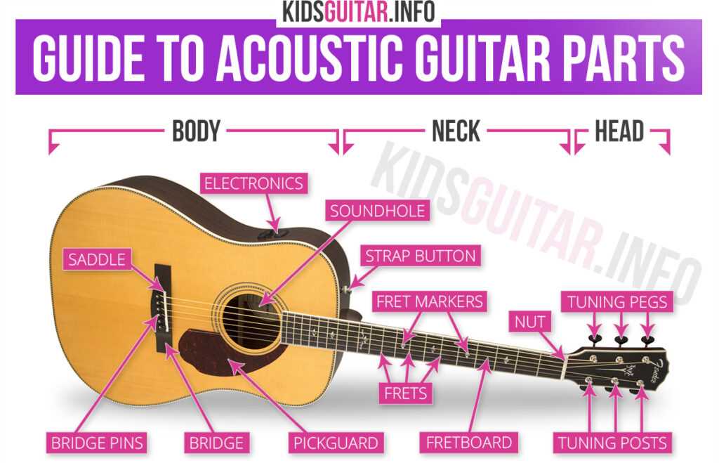 parts of the acoustic guitar diagram