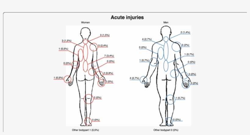 parts of the body diagram