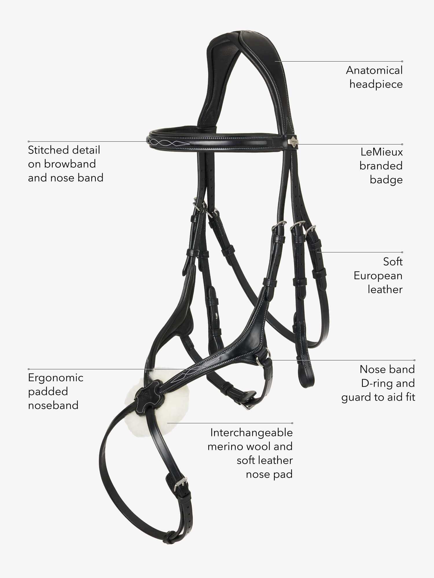 parts of the bridle diagram