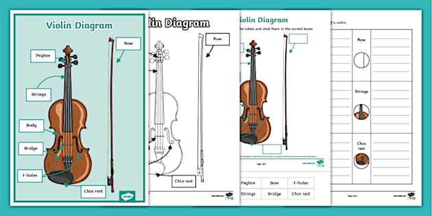 parts of the cello diagram