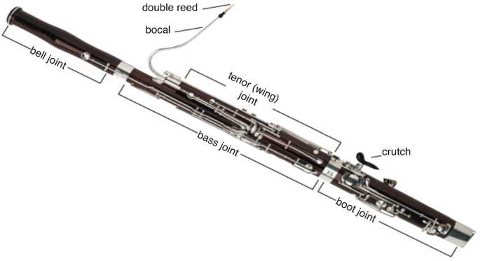 parts of the clarinet diagram