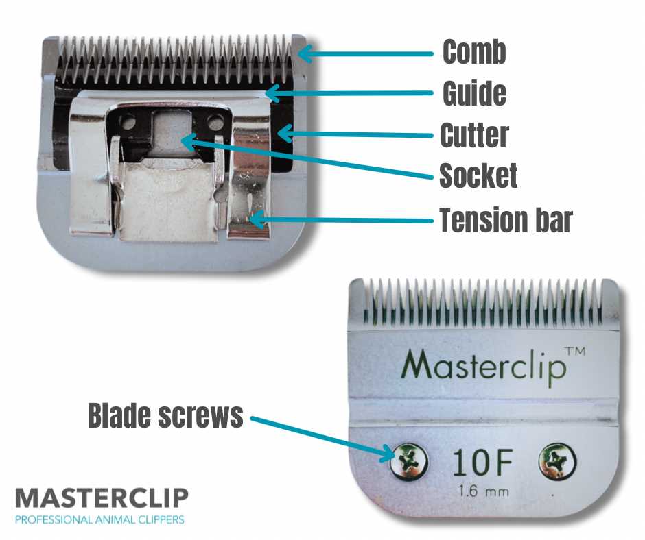 parts of the clippers diagram