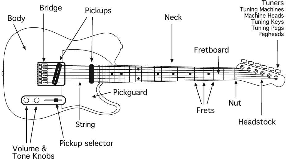 parts of the guitar diagram