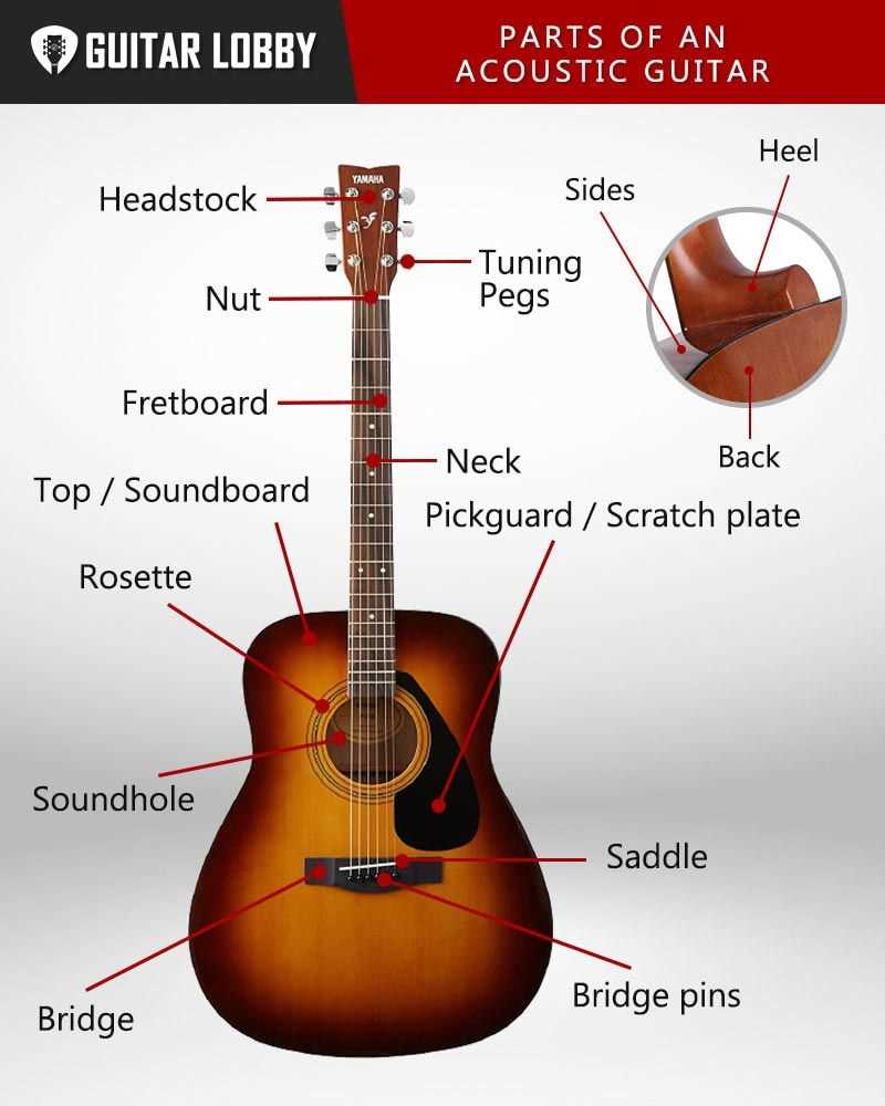 parts of the guitar diagram