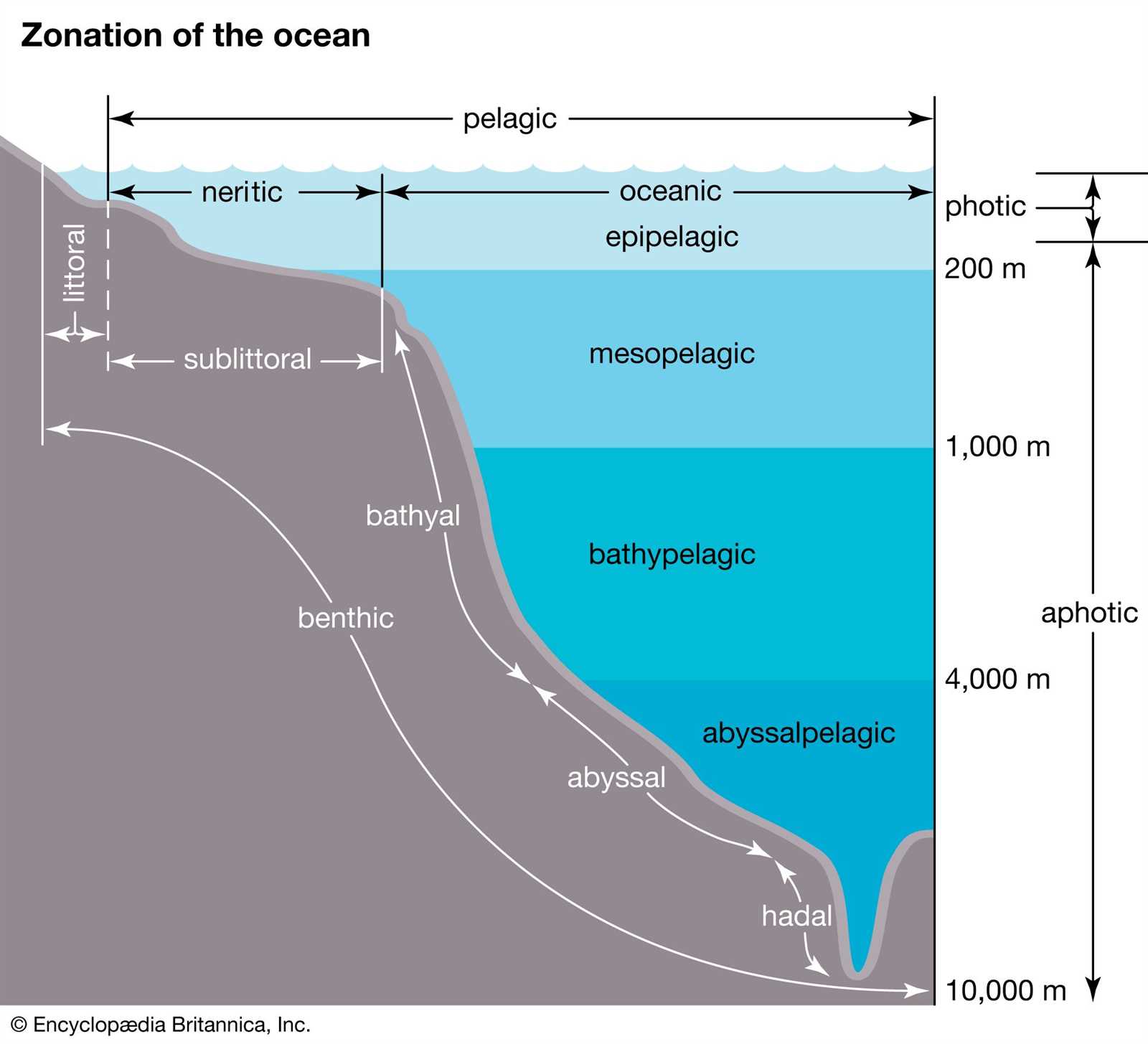 parts of the ocean floor diagram