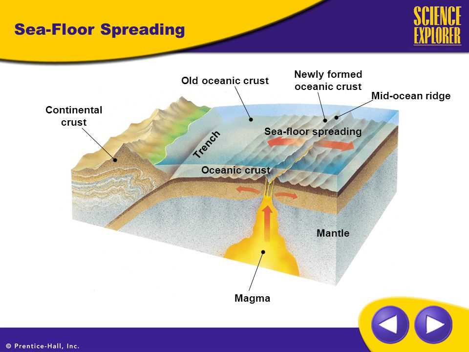 parts of the ocean floor diagram