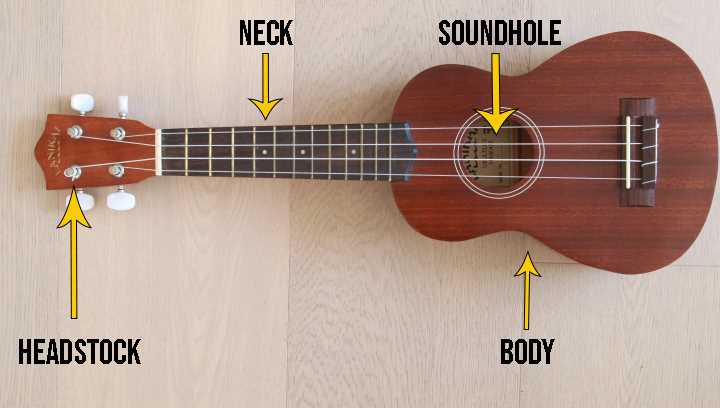 parts of the ukulele diagram