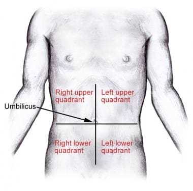 parts of your stomach diagram