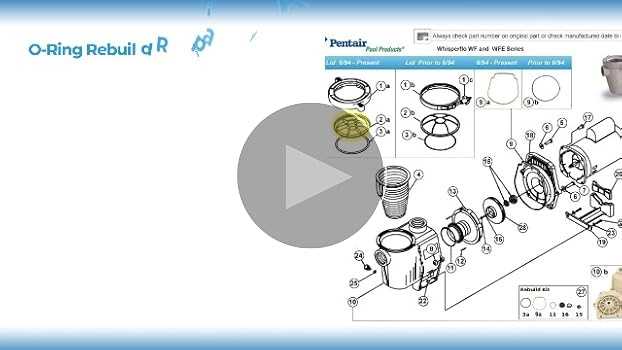 pentair whisperflo parts diagram