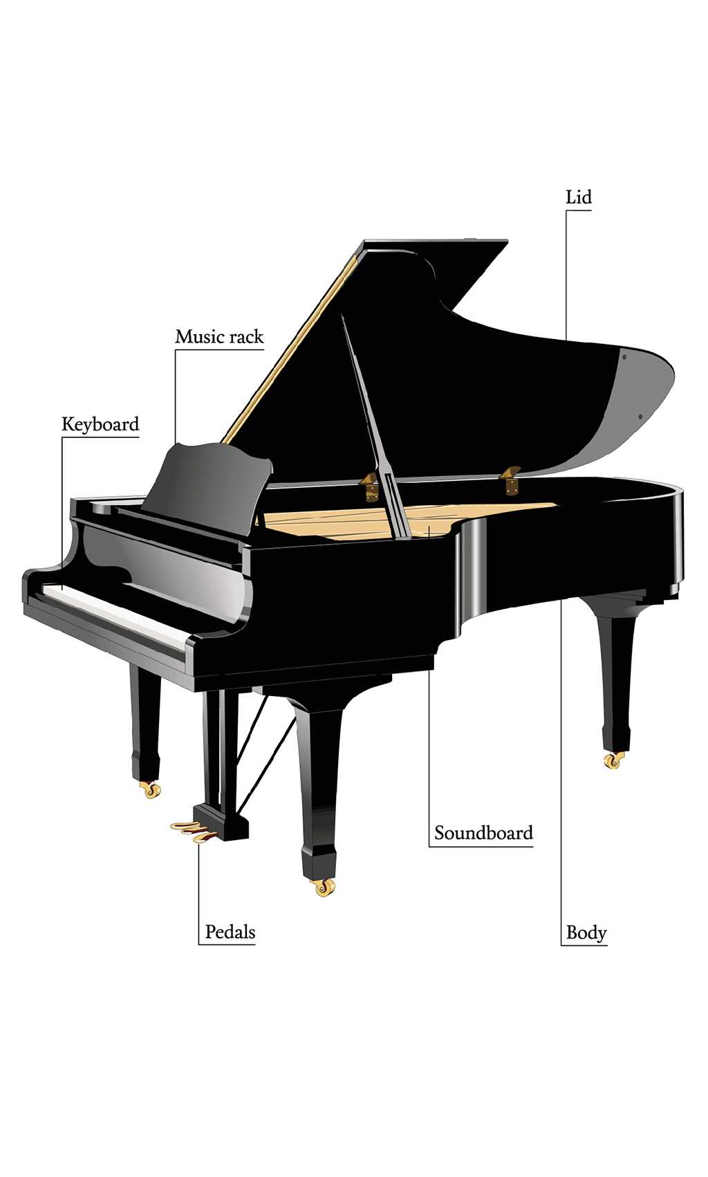 piano parts diagram