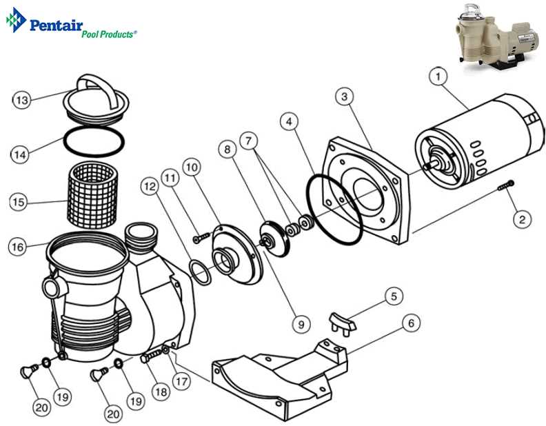 pool pump motor parts diagram