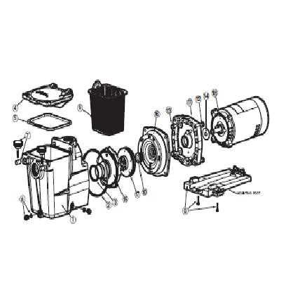 pool pump parts diagram