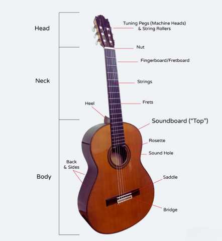 parts of the acoustic guitar diagram