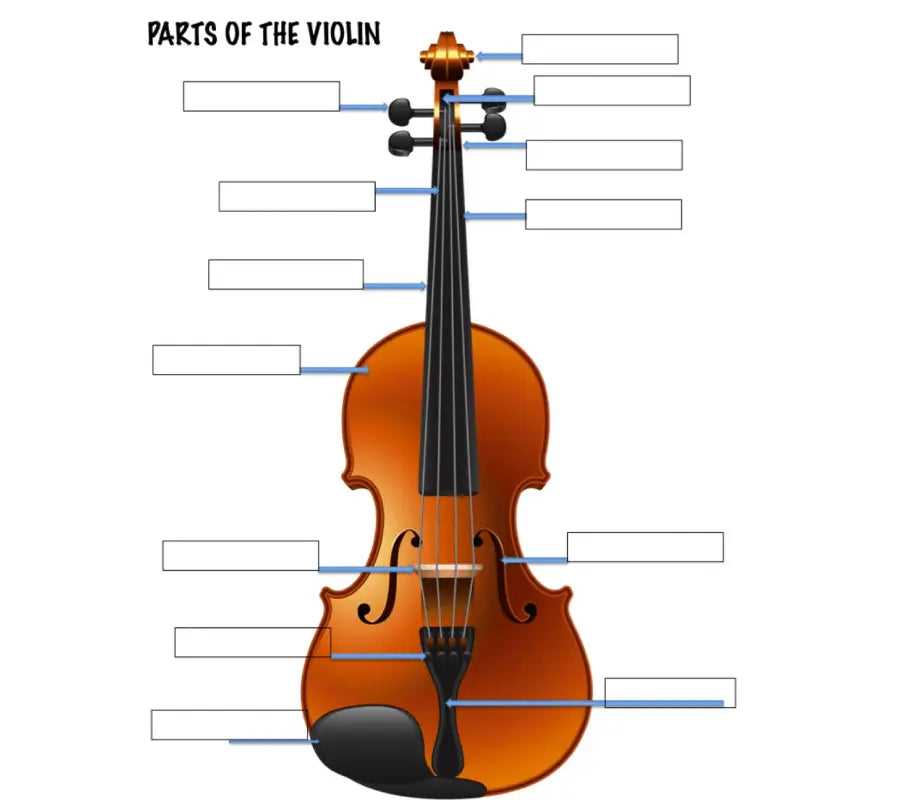 parts of a violin bow diagram