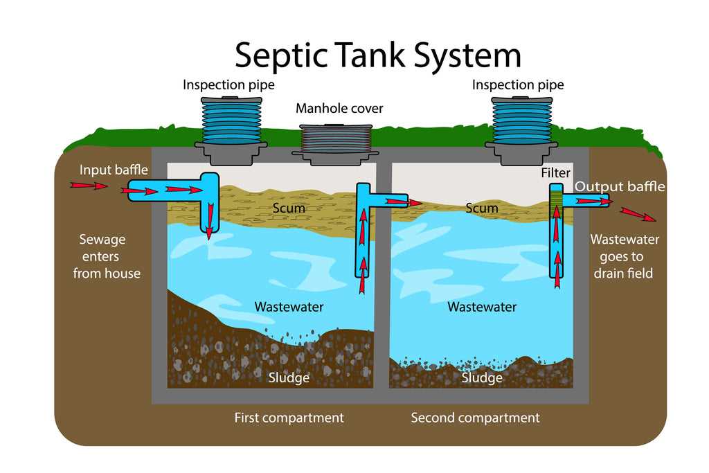 parts of a septic system diagram