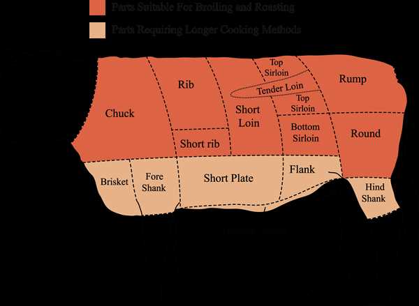 parts of beef diagram