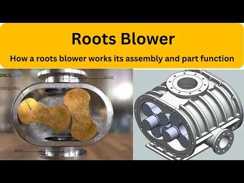 roots blower parts diagram