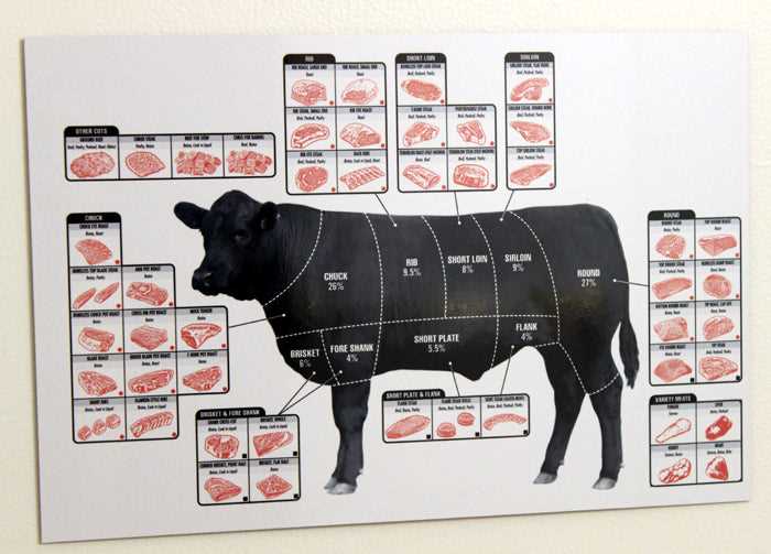 parts of cow steak diagram