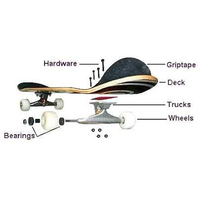 skateboard parts diagram