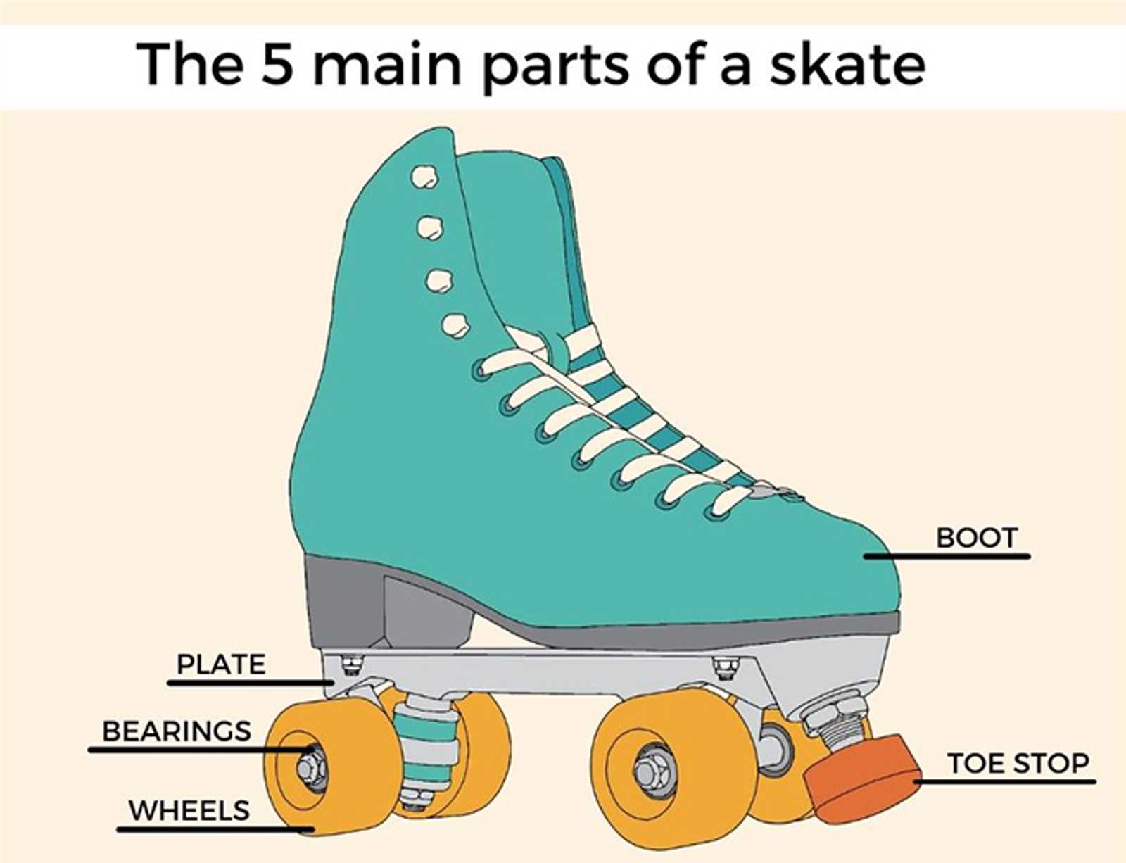 skateboard parts diagram