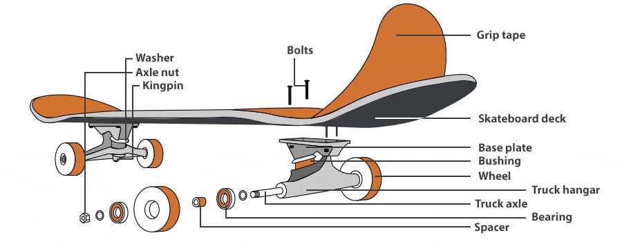 skateboard truck parts diagram