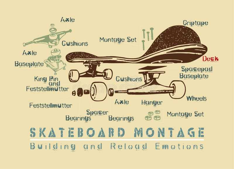 skateboard truck parts diagram